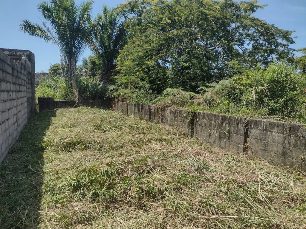 Foto - São Paulo - Jardim Alto Alegre (São Rafael)