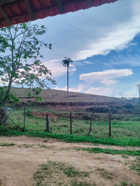 Foto - Juiz de Fora - Jardim de Alá