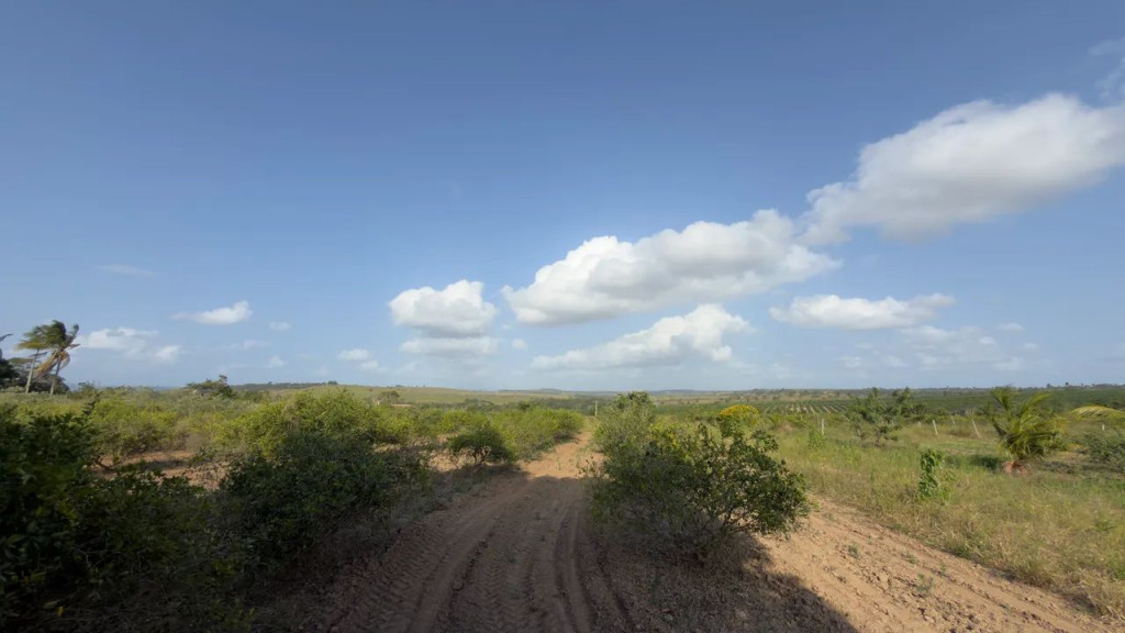 Foto - Lagarto - Novo Horizonte