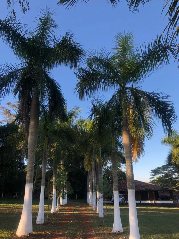 Foto - Ribeirão Preto - Parque Residencial Cândido Portinari