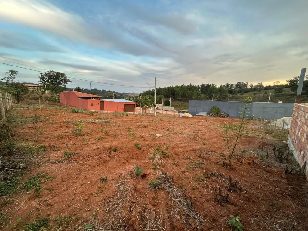 Foto - Onça de Pitangui - 