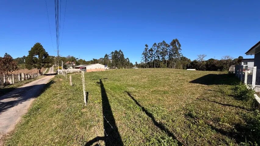 Foto - São José dos Pinhais - Contenda