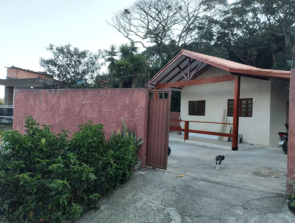 Foto - Mairiporã - Samambaia