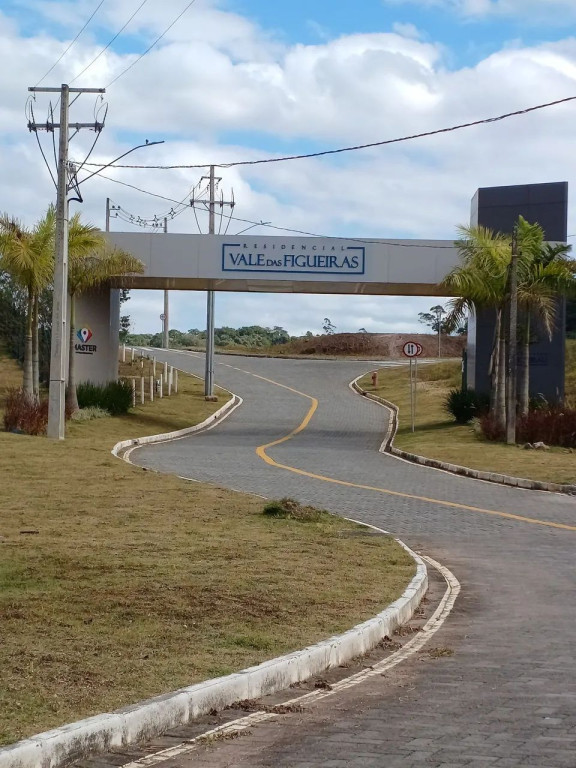 Foto - Gaspar - Figueira
