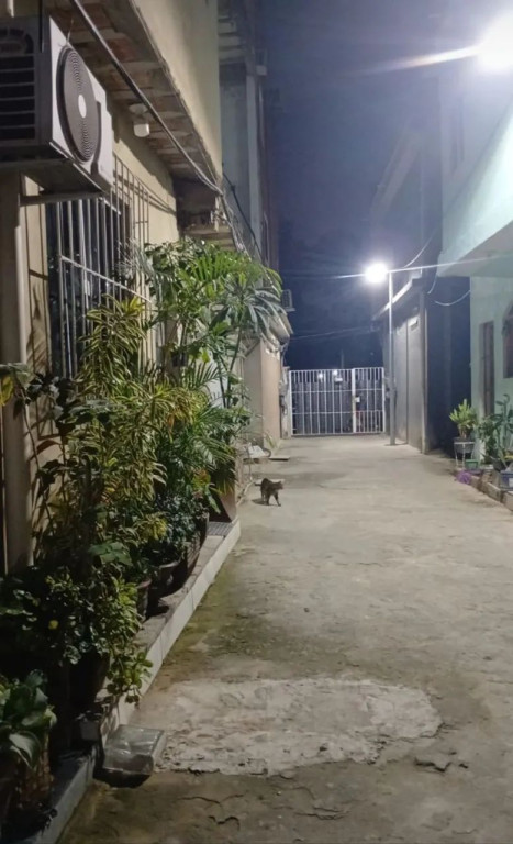 Foto - Rio de Janeiro - Anchieta