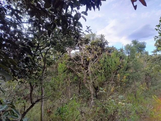 Foto - Brasília - Estâncias Vila Rica (Sobradinho)