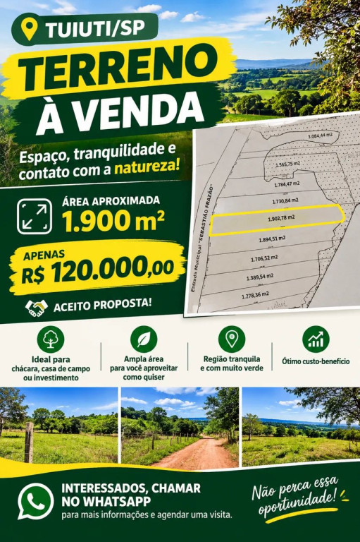 Foto - Tuiuti - Centro