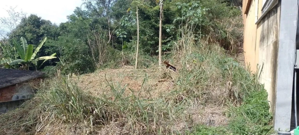 Foto - São Gonçalo - Maria Paula