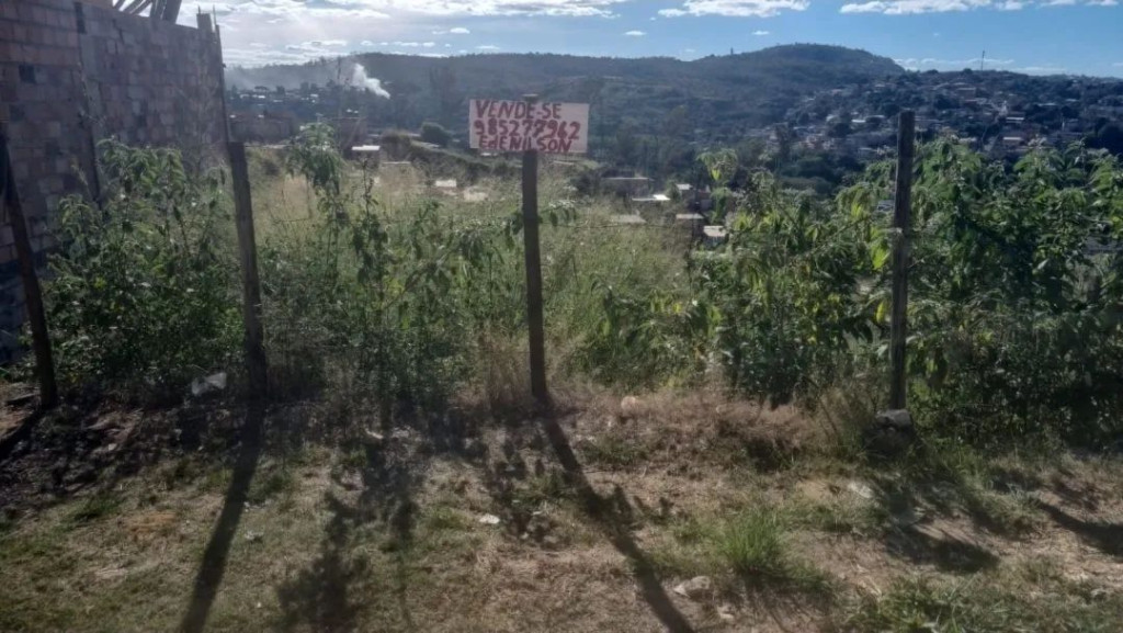 Foto - Belo Horizonte - Boa Vista
