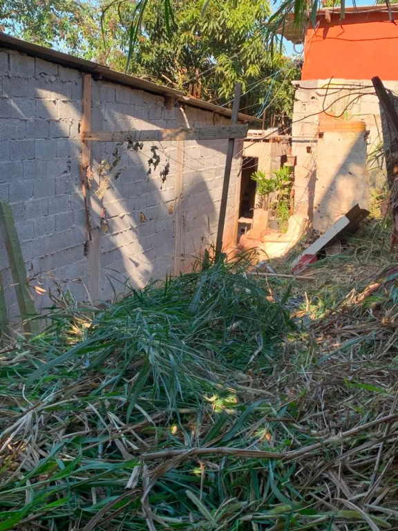Foto - São Paulo - Conjunto Promorar Rio Claro