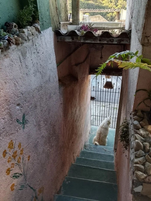 Foto - São Paulo - Vila Roschel