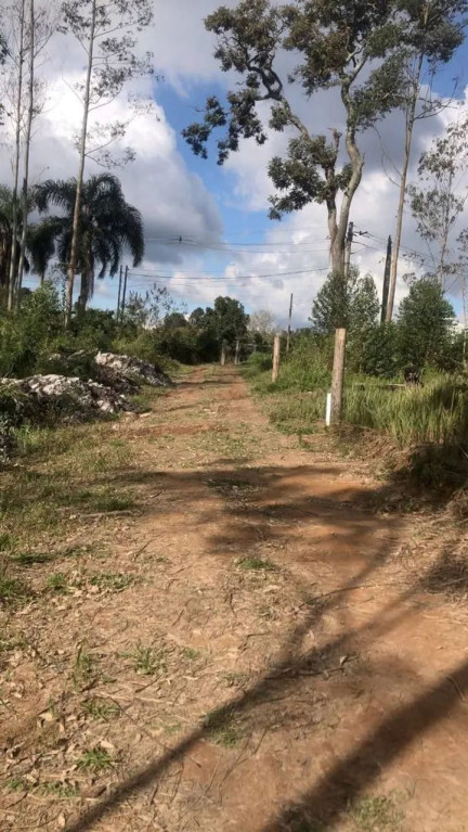 Foto - Cotia - Terras de São Felipe (Caucaia do Alto)
