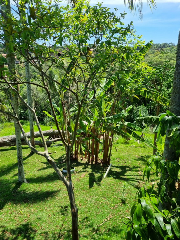 Fazenda à venda com 3 quartos, 6800m² - Foto 6