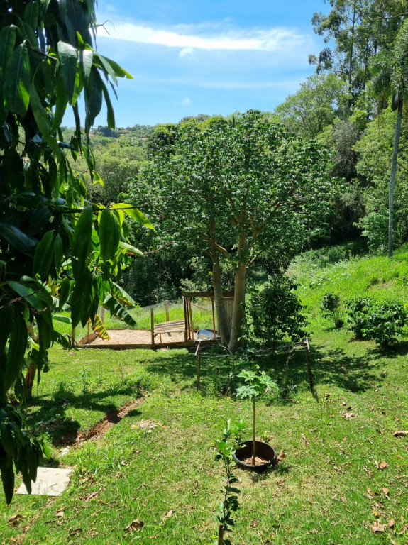 Fazenda à venda com 3 quartos, 6800m² - Foto 7