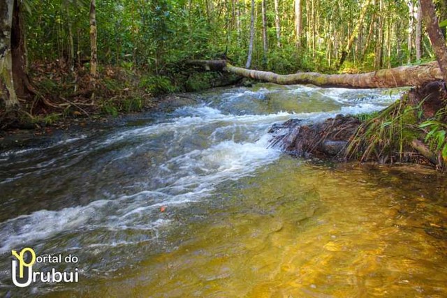 Foto - Presidente Figueiredo - 