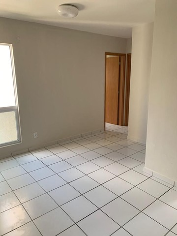 Foto - São Gonçalo do Amarante - Jardins