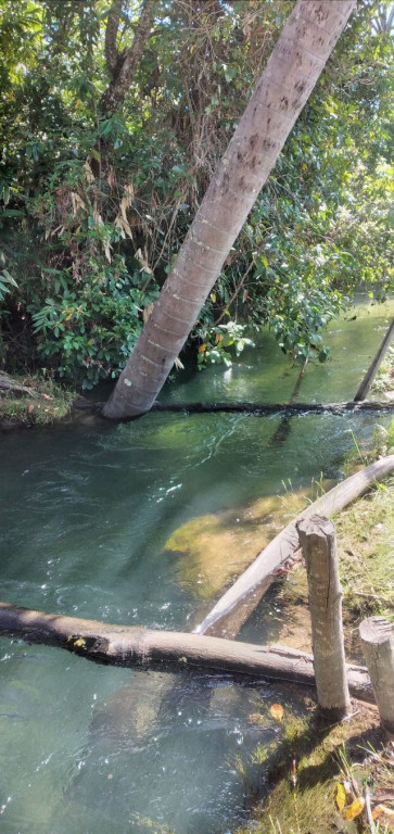 Terreno à venda - Foto 3