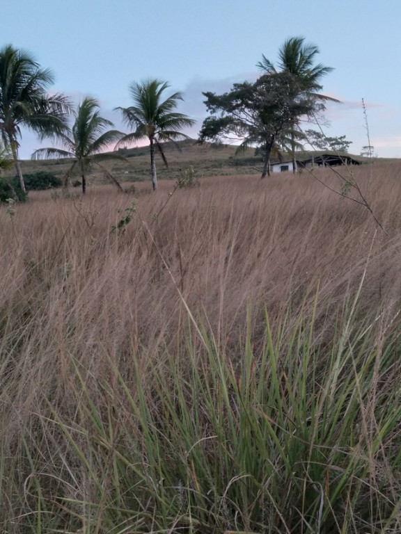 Foto - São Sebastião do Passé - 