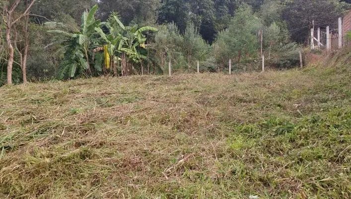 Captação de Terreno a venda na BR 116, Areia Branca dos Assis, Mandirituba, PR