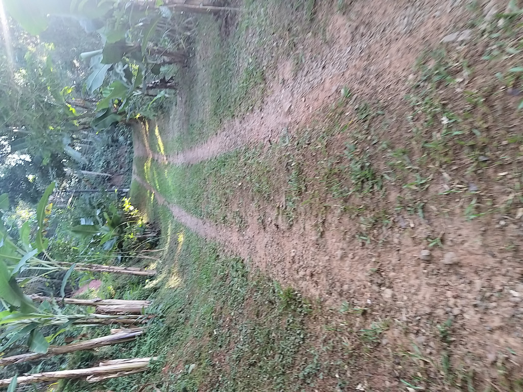 Captação de Casa em Condomínio para venda ou locação na Rodovia Joaquim Simão km 54, Varadouro, Santa Isabel, SP