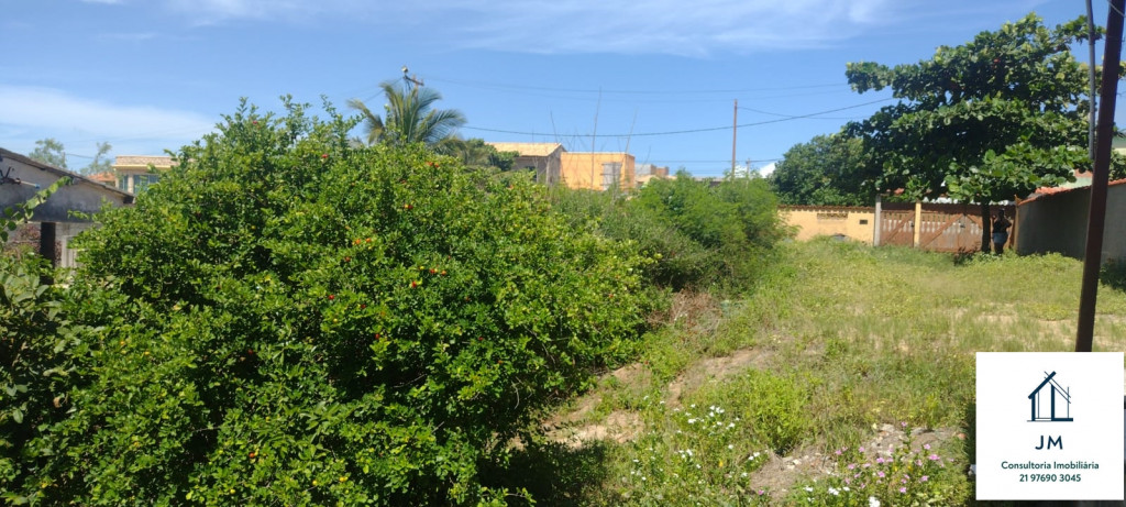 foto - Arraial do Cabo - FIGUEIRA