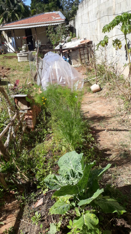 Captação de Casa a venda na Estrada dos Tambaús, Chácara Rincão, Cotia, SP