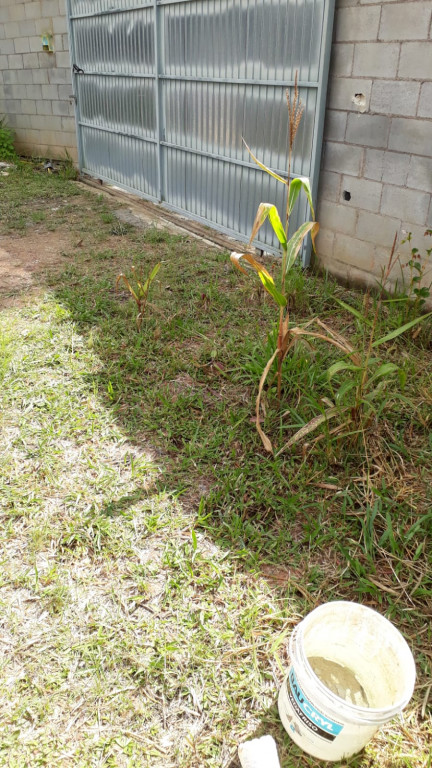 Casa à venda com 1 quarto, 100m² - Foto 5