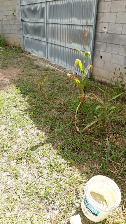 Captação de Casa a venda na Estrada dos Tambaús, Chácara Rincão, Cotia, SP