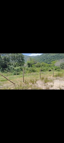 Foto - Paulo Lopes - 