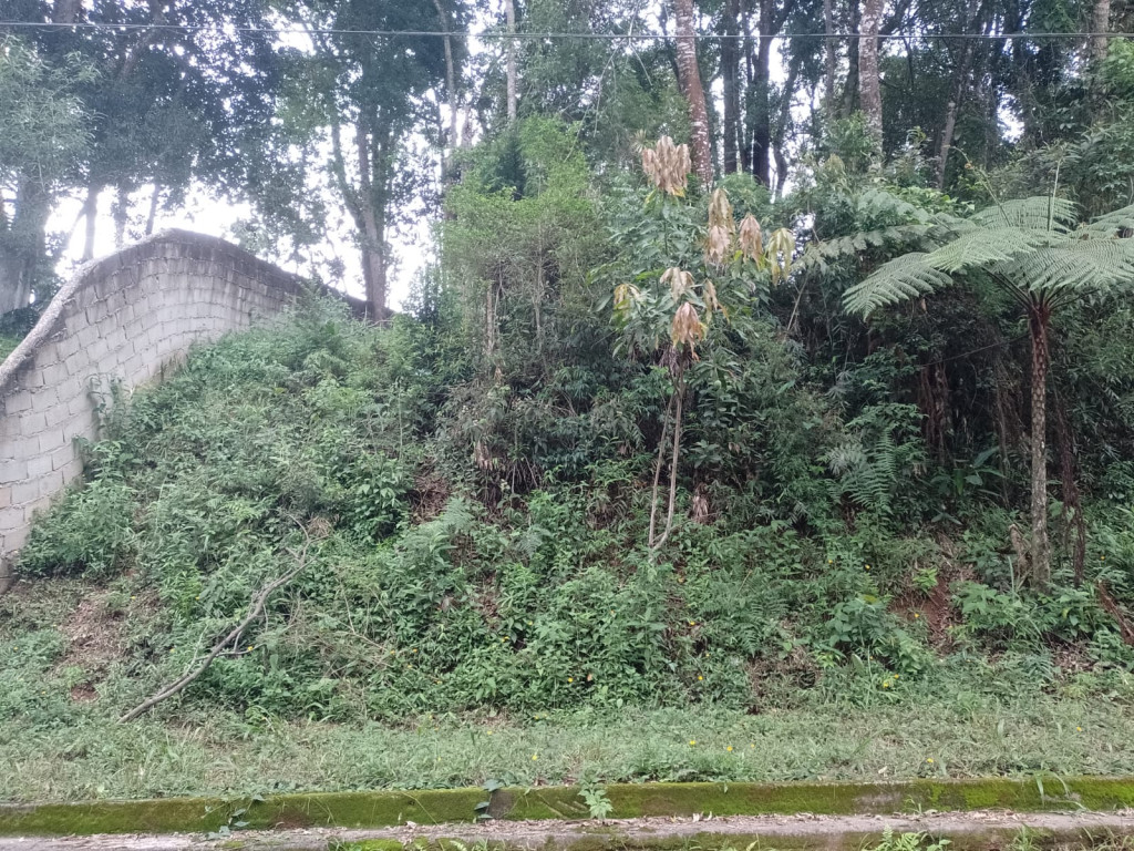 Foto - Jarinu - Recanto Campo Verde