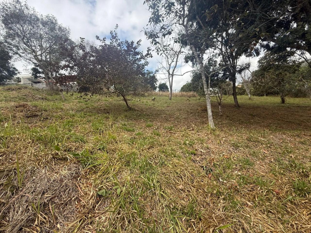 Foto - Santa Isabel - Condomínio reserva ibirapitanga