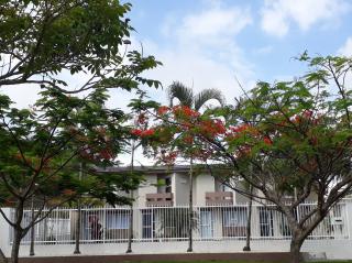 Foto - Balneário Camboriú - Ariribá