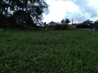 Foto - Goianira - Jardim vila regina