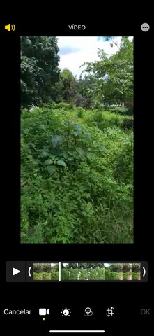 Foto - Maranguape - Parque Iracema