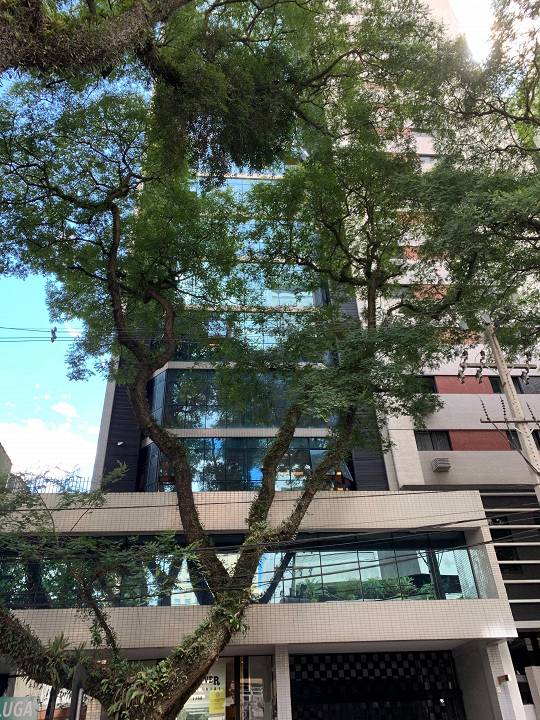 Captação de Conjunto Comercial para locação na Rua Visconde do Rio Branco, Centro, Curitiba, PR