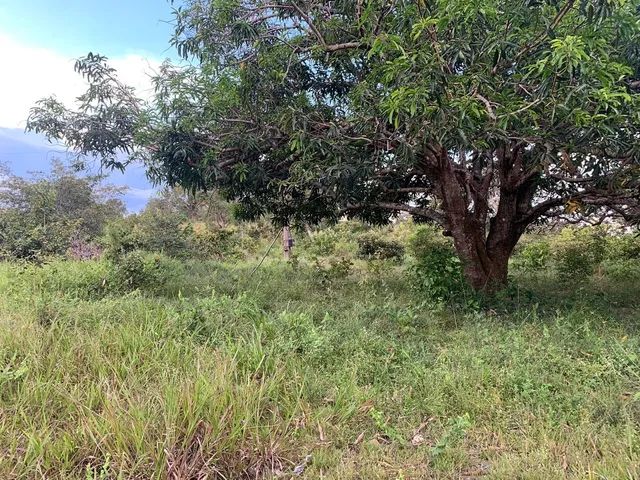 Foto - Divinópolis do Tocantins - 