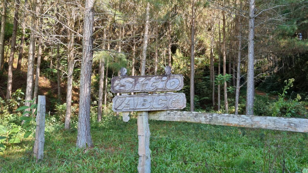 Foto - Apiúna - Centro