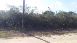 Foto - Aquiraz - Camará