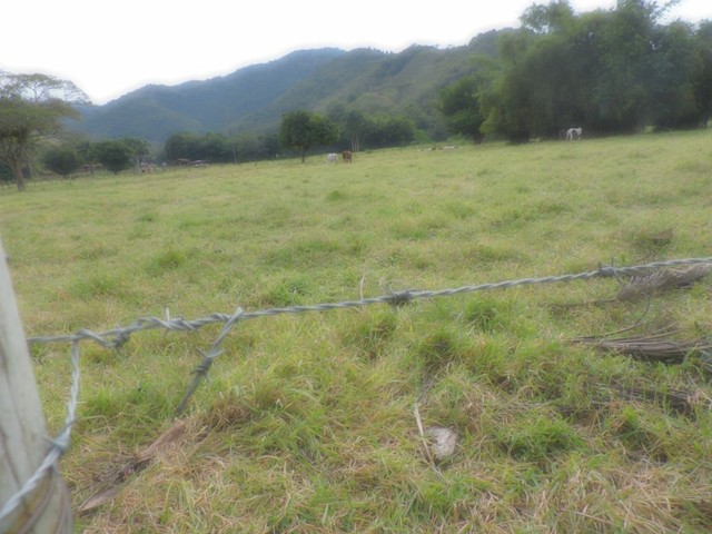 Foto Imóvelp