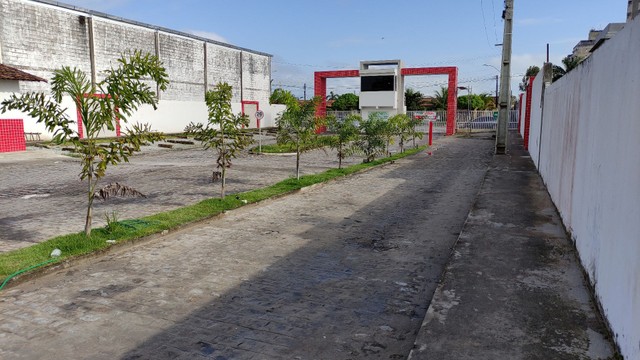 foto - Maceió - Cidade Universitária