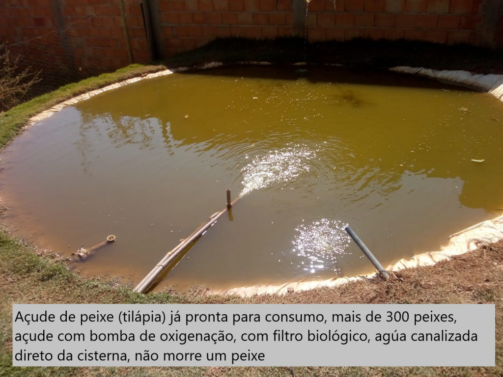 Captação de Sítio/Fazenda a venda na Rua 3, buritis, Paraopeba, MG