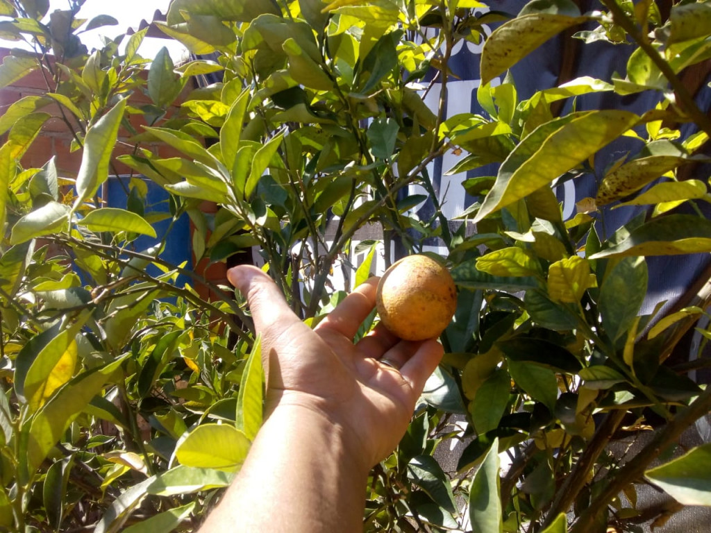 Captação de Sítio/Fazenda a venda na Rua 3, buritis, Paraopeba, MG