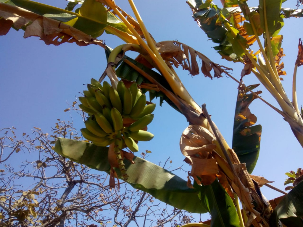 Captação de Sítio/Fazenda a venda na Rua 3, buritis, Paraopeba, MG