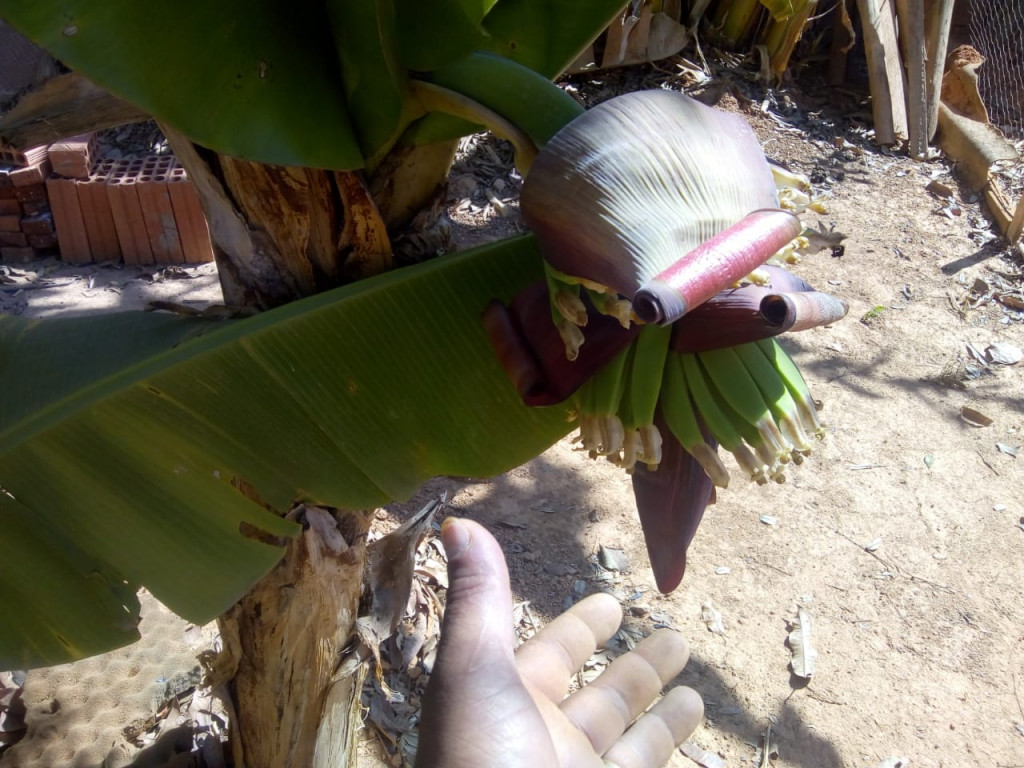 Captação de Sítio/Fazenda a venda na Rua 3, buritis, Paraopeba, MG