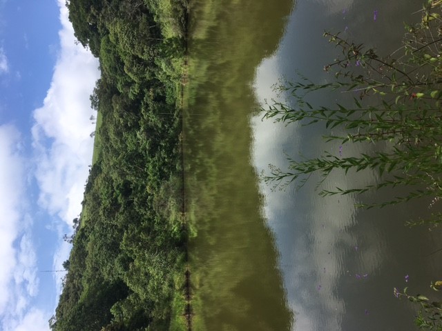 Captação de Terreno a venda na Estrada Municipal Taipas de Pedra, Alto Da Serra (Mailasqui), São Roque, SP