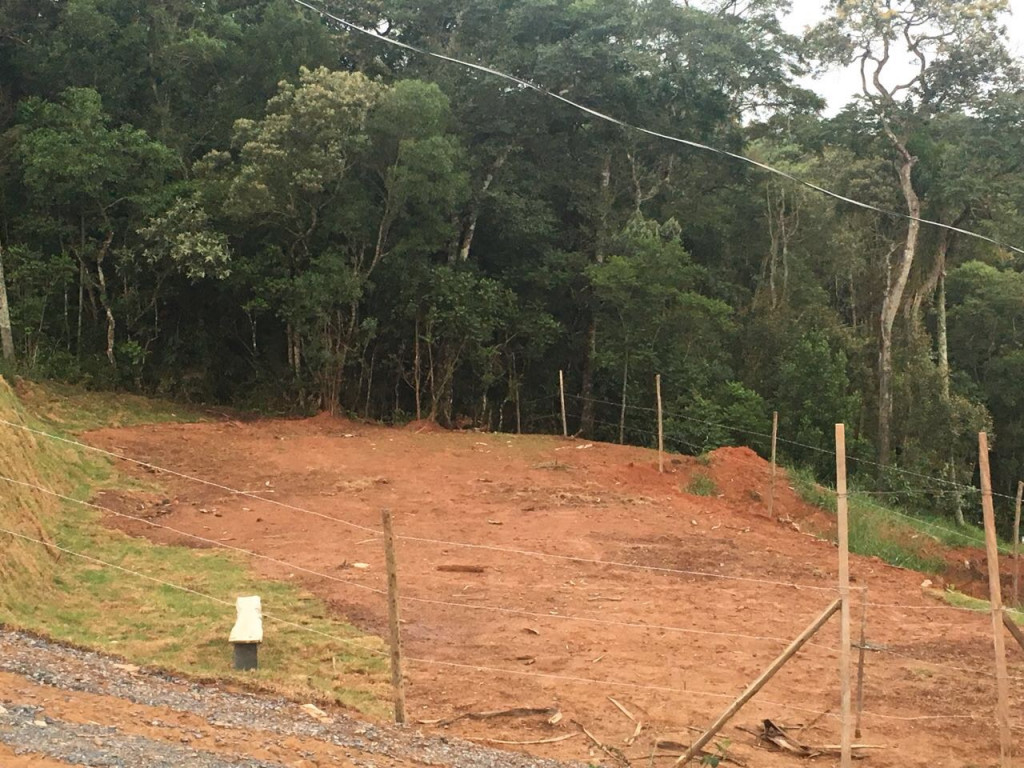 Terreno à venda, 244m² - Foto 4