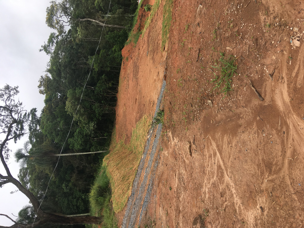 Terreno à venda, 244m² - Foto 7