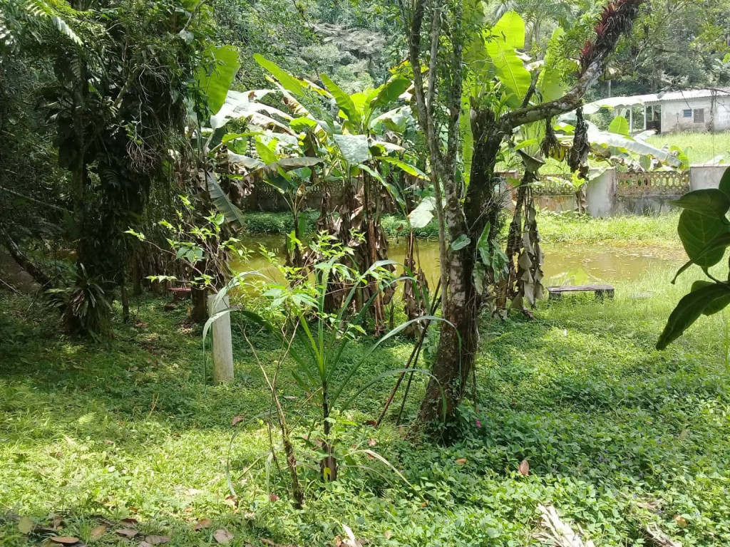 Fazenda à venda com 1 quarto, 20400m² - Foto 6