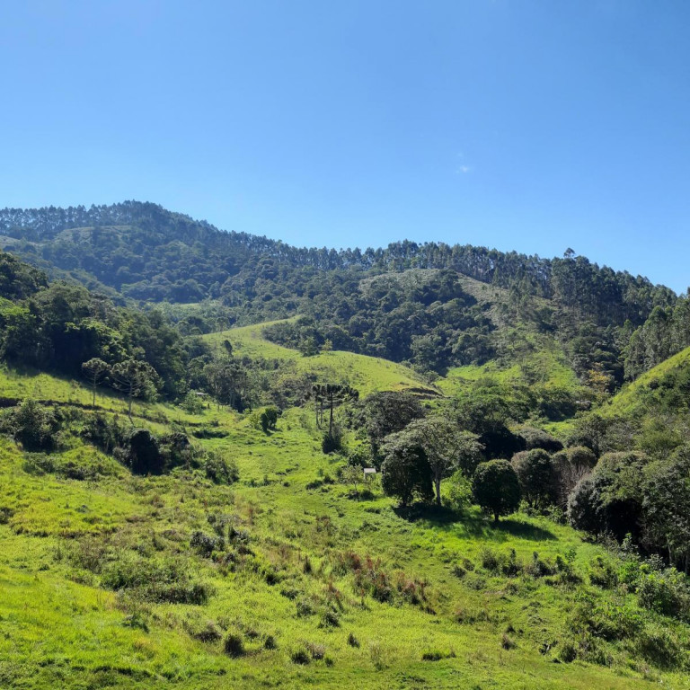 Foto - Monteiro Lobato - Centro