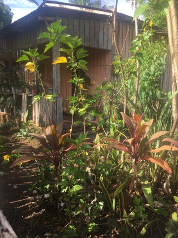 foto - Macapá - Jardim Felicidade